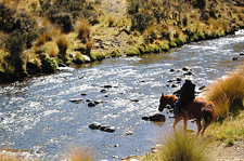 New Zealand-South Island-Southland High Country Station Ride